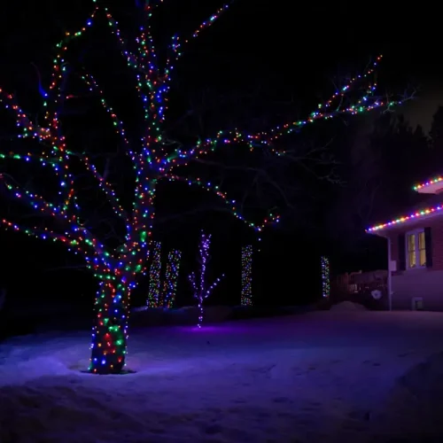 Christmas Light Installation Simcoe County, ON