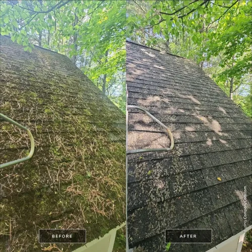 Roof Cleaning Simcoe County, ON